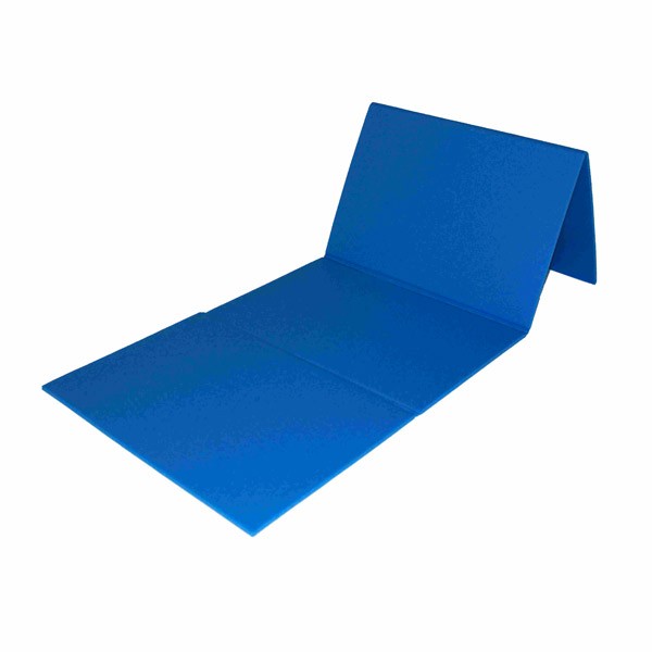 Tapis de Gymnastique Pliable Matelas de Fitness Portable Natte de