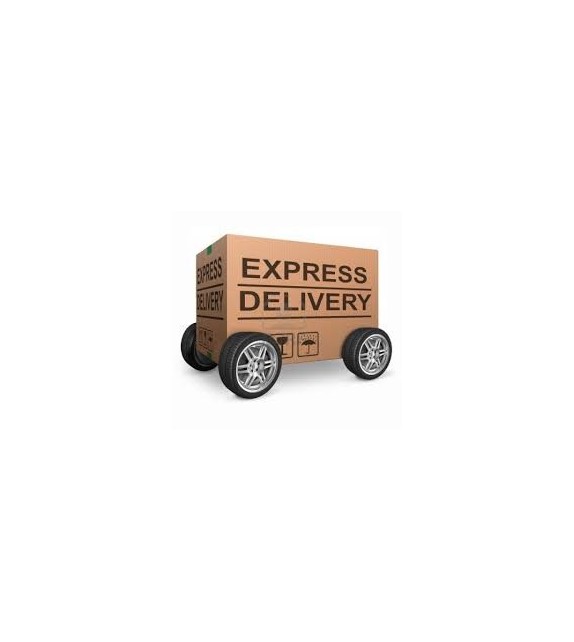 Express delivery - 