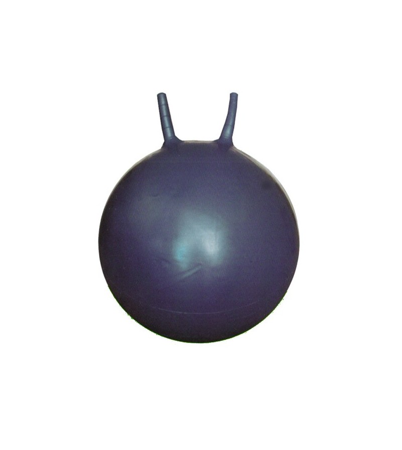 Ballon sauteur avec pompe à air : 50 cm de diamètre pour enfants de 7 à 9  ans, ballon de houblon, transat kangourou, Hoppity Hop, balle sautante