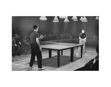 Ping Pong Tafels voor Competitie