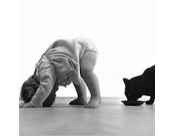 Enfant pratiquant une posture de yoga au sol avec un chat à proximité dans un salon lumineux.