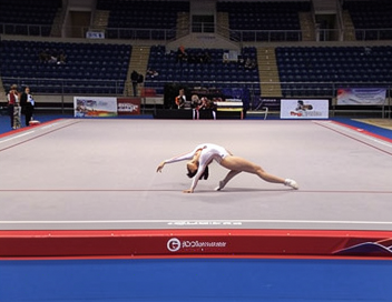 Gymnaste sur un tapis de sol réglementaire avec zones de sécurité conformes aux normes